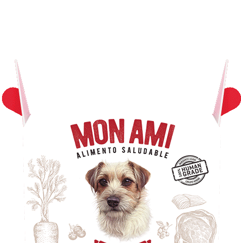 Mon Ami Superfood Sticker - Mon Ami Superfood Stickers