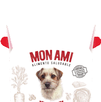 Mon Ami Superfood Sticker - Mon Ami Superfood Stickers