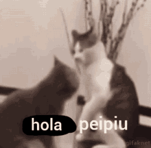 Hola Peipiu Peipiu GIF - Hola Peipiu Peipiu Peipiu Gato GIFs