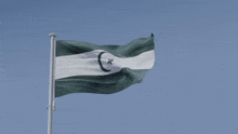a green and white flag with a crescent moon and a star on it