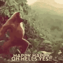 Orangutan Monkey GIF - Orangutan Monkey Dancing GIFs