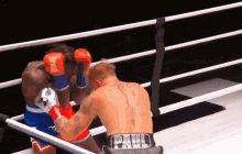 Naterobinson Boxing GIF - Naterobinson Boxing Ko GIFs