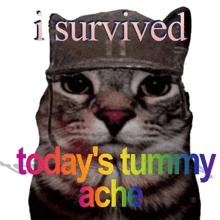 I Survived Todays Tummy Ache GIF