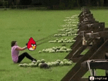 Angry Birds Canon GIF - Angry Birds Canon Hit Back GIFs