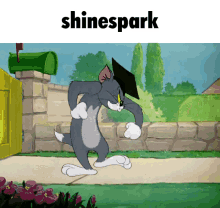 Tom And Jerry Professor Tom GIF - Tom And Jerry Professor Tom Shinespark GIFs