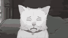 Oh No GIF - Cat Sad Crying GIFs