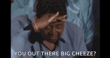 Searching Looking Around GIF - Searching Looking Around Big Cheeze GIFs