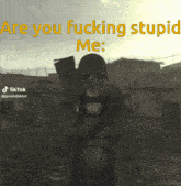 a video game character with a gas mask says " are you fucking stupid "