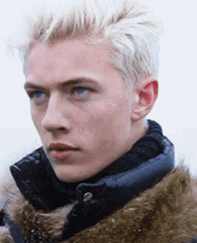 lucky lucky blue handsome stare