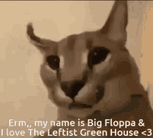 Erm Big Floppa GIF - Erm Big Floppa Floppa GIFs