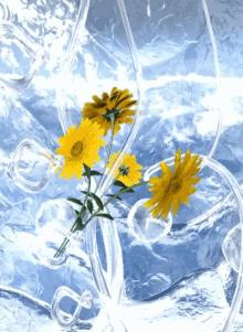 sunflower animation underwater valeris valeris gif