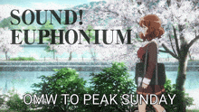 Hibike Euphonium Hibike Euphonium Sunday GIF - Hibike Euphonium Hibike Euphonium Sunday Peak Sunday GIFs