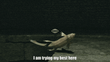 a picture of a fish with the words i am trying my best here
