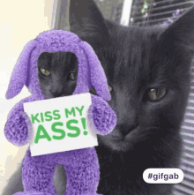 Funny Animals Kiss My Ass GIF - Funny Animals Kiss My Ass Cat GIFs