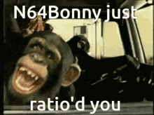 n64bonny monkey ratio