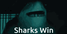 Sharks Win San Jose Sharks GIF - Sharks Win San Jose Sharks Sharks GIFs