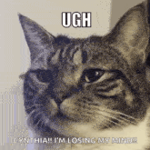 Ugh Grumpy Cat GIF