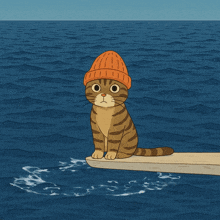 a cat wearing a beanie is sitting on a board in the ocean
