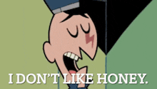 a cartoon character with a lightning bolt on his face says " i don 't like honey "