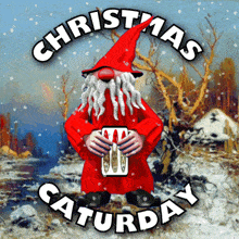 Christmas Caturday Saturday GIF - Christmas Caturday Caturday Saturday GIFs