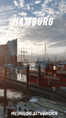 Miesmuschelartwuermchen Hafen GIF - Miesmuschelartwuermchen Hafen Hamburg GIFs