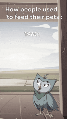 a cartoon of an owl with the words " how people used to feed their pets " below it