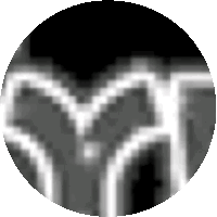 a black and white image of a circle with a heart in the middle