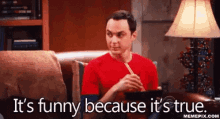 Sheldon Cooper Its Funny Because Its True GIF