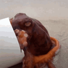 Getting Out Of This Pipe Octonation GIF - Getting Out Of This Pipe Octonation Going Out GIFs
