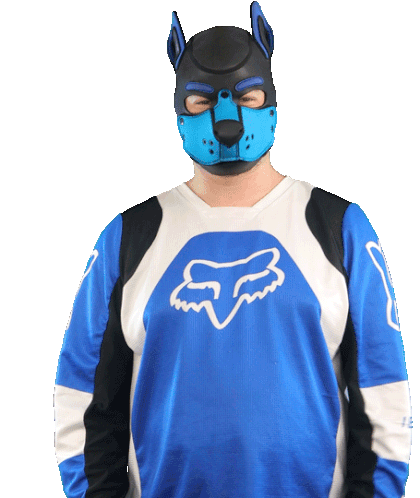 Rinno Fox Sticker - Rinno Fox Blau Fox Stickers