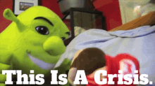 Sml Shrek GIF - Sml Shrek This Is A Crisis GIFs