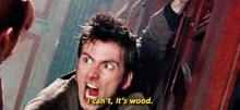 Doctor Who I Cant GIF - Doctor Who I Cant Its Wood GIFs