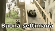 have a good week enjoy your monday have a good start panda slide