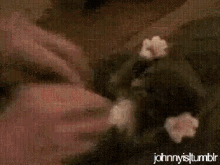 Cat Tickle GIF - Cat Tickle Beam GIFs