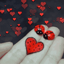 Ladybugs Dating GIF - Ladybugs Dating Fall In Love GIFs