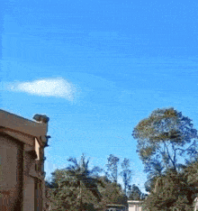 a blue sky with a few clouds and trees in the foreground