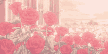 Roses Aesthetic Rose GIF - Roses Aesthetic Rose GIFs