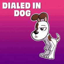 a cartoon dog is standing in front of a pink and purple background that says dialed in dog
