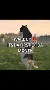 a dog standing on its hind legs in a field with the words wake up its da first of da month on it