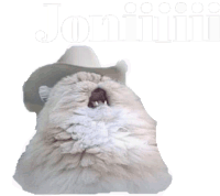 Jonicowboycat Cowboy Cat Sticker - Jonicowboycat Cowboy Cat Joniiiiiii Stickers