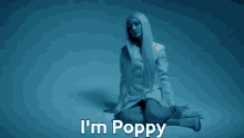 Thatpoppy Impoppy GIF - Thatpoppy Impoppy Poppy GIFs