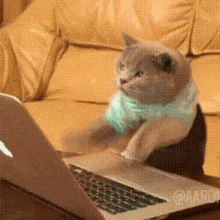 GIF