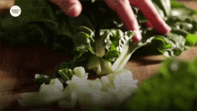 chopping kitchen knife celery vegetables vegeta