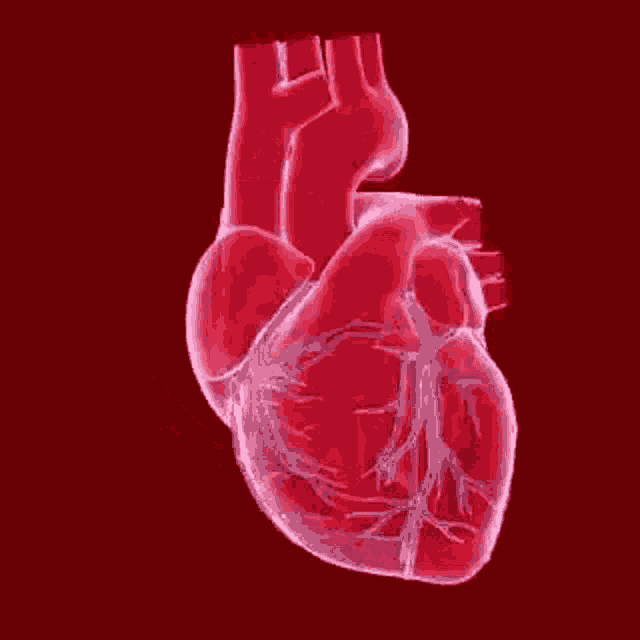 real heart images