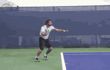 Ernests Gulbis Forehand GIF - Ernests Gulbis Forehand Tennis GIFs