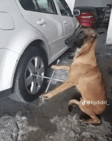 a dog is sitting next to a car with a tire wrench in its paws