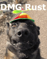Dmg Rust Rust Dmg GIF