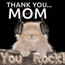 you rock cat thank you