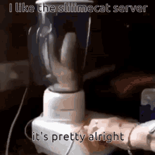The Sliiimecat Server Is Alright GIF - The Sliiimecat Server Is Alright GIFs