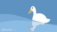Duck Waves GIF - Duck Waves Floating GIFs